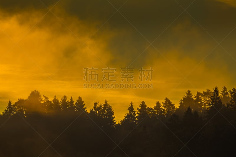 水,长春花属,平视角,在上面,天空,美,水平画幅,云,鸟类,早晨