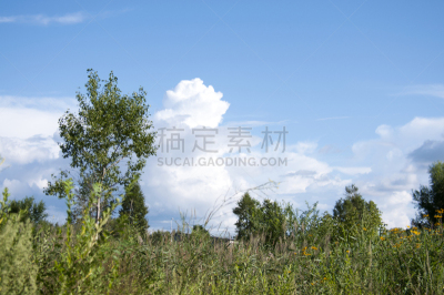 天空,夏天,地形,自然,水平画幅,绿色,景观设计,无人,猎人李格林,户外