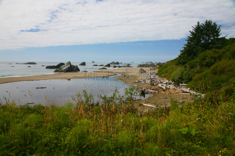 奥勒冈海滨,哈里斯海滩,哈里海滩州立公园,黄金海滩,水,俄勒冈州,俄勒冈郡,水平画幅,沙子,人群