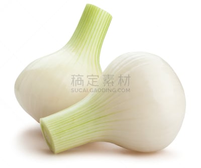 白色,洋葱,支柱根,珍珠洋葱,水平画幅,无人,生食,组物体,特写,两个物体