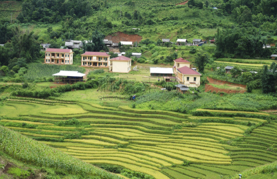 越南,稻,梯田,巴拿威,沙坝,水稻梯田,美,水平画幅,山,无人