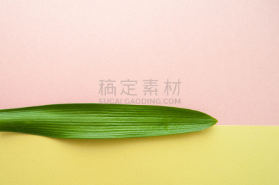 叶子,纹理,绿色,粉色,热带的花,彩色蜡笔,背景,lacewing,螺旋弹簧,情绪板