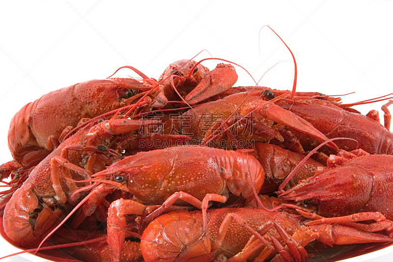 螯虾,煮食,河流,自然,水平画幅,海产,背景分离,白人,红色,即食食品