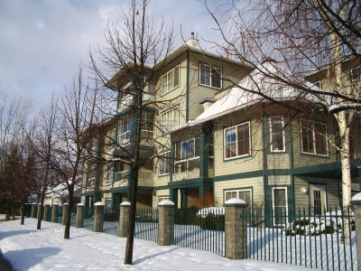 读卡机,新的,水平画幅,雪,巨大的,房地产经纪人,监视器,户外,金属,安全