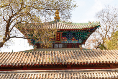 少林,宝塔,少林寺,寺庙,世界遗产,古董,武术,水平画幅,古老的