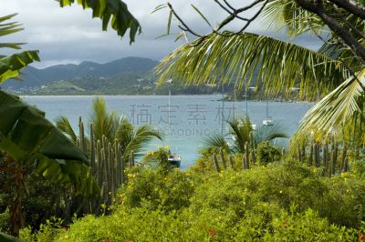 英属维尔京群岛,风景,马里纳湾,托投拉岛,水,水平画幅,无人,户外,棕榈树,植物