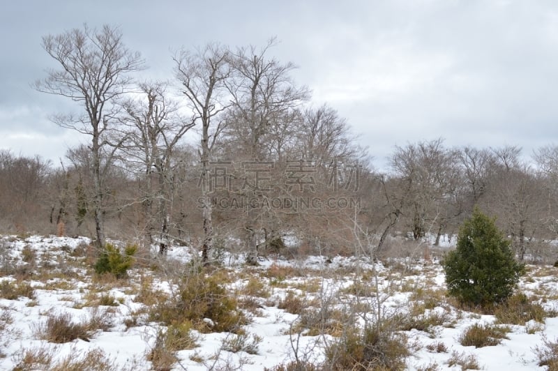 雪,河流,自然,地形,自然美,山毛榉树,在活动中,森林,水,水平画幅