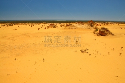 澳大利亚,尖塔顶峰,石峰沙漠,石化木,沙雕,西澳大利亚,偏远地区,气候,石灰石,沙漠