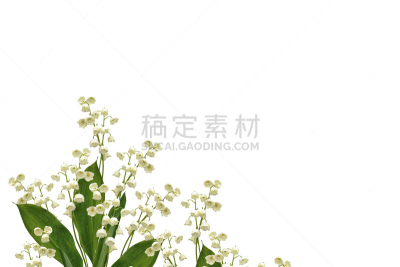 铃兰,水平画幅,绿色,无人,五月,夏天,特写,百合花,俄罗斯,花束