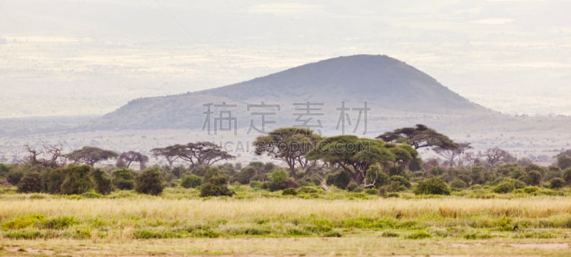 乞力马扎罗山,火山口,火山渣锥,东欧大草原,自然,草地,水平画幅,地形,无人,萨凡纳港市