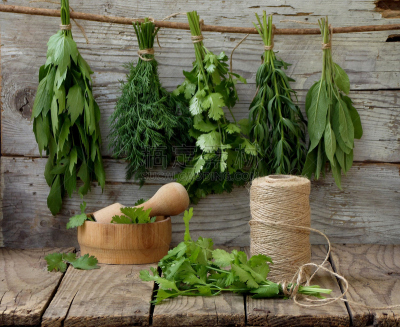 莳萝,芫荽叶,hyssop,芳香疗法,鼠尾草,百里香,草本,青绿色,胡芦巴,水平画幅
