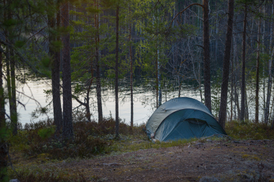 Tent camp standing in forest