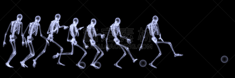 人类骨架,x光,橄榄球,射线成像,放射科专家,水平画幅,绘画插图,生物学,人头骨,运动