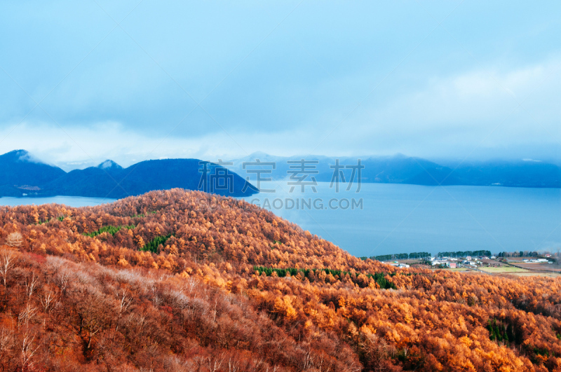 冬天,山,叶子,秋天,北海道,黄色,森林,航拍视角,洞爷湖,树