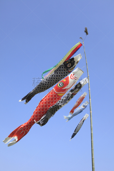 鲤鱼,横幅,鲤鱼旗,大阪府,垂直画幅,天空,五月,传统,日本,亚洲