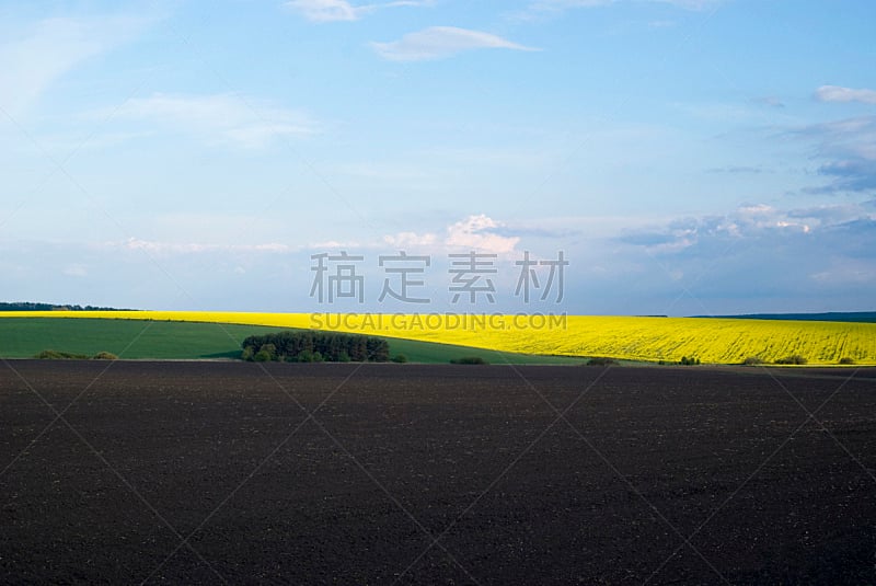 农业,乌克兰,地形,水平画幅,山,无人,泥土,夏天,户外,开花时间间隔