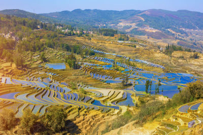 元阳,梯田,云南省,中国,露台别墅,哈尼族,雕塑家,锥形帽,建筑露台,昆明