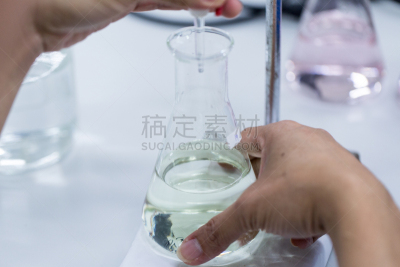 实验室,医学检测,蛋白质,莫尔德,烟曲霉菌,细菌垫,青霉菌,琼脂,患病植物