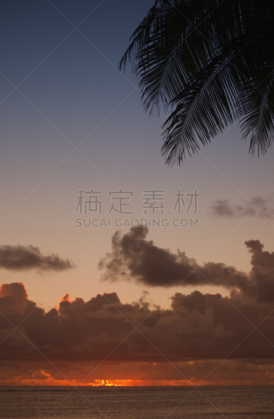 棕榈叶,黄昏,泻湖,垂直画幅,水,天空,南太平洋,曙暮光,扇形棕榈,气候与心情