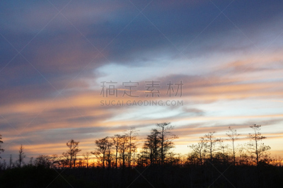 沼泽,天空,禅宗,水平画幅,月亮,曙暮光,户外,芦苇,湖,柏树