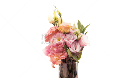 花瓶,特写,花束,深情的,粉色,风景,分离着色,自然美,白色,花
