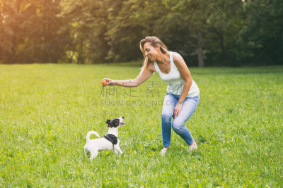 狗,女人,杰克拉瑟短腿犬,进行中,球,休闲活动,夏天,宠物主人,草,仅成年人