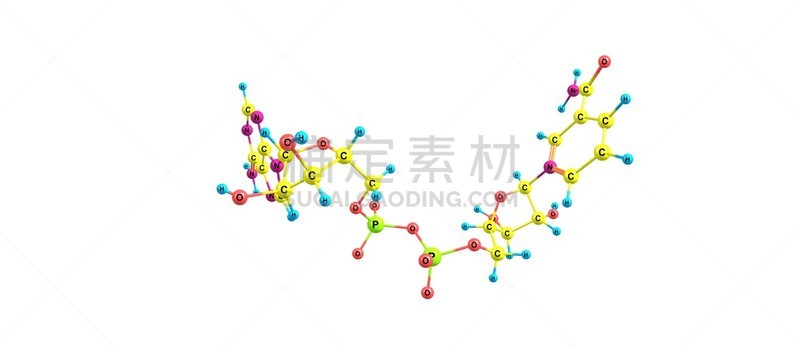 白色,分子结构,腺嘌呤,分离着色,水平画幅,无人,绘画插图,科学实验,辅酶q10,科学