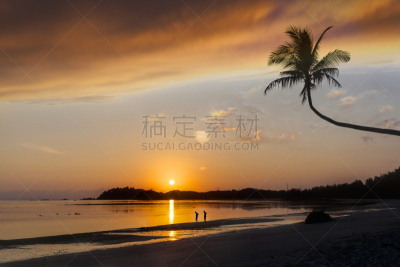 海滩,黎明,民丹岛,印度尼西亚,水,美,留白,度假胜地,水平画幅,沙子