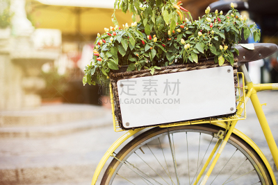 黄色,留白,车轮,水平画幅,无人,古典式,夏天,户外,椒类食物,荷兰