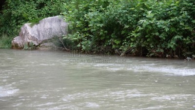 水,地形,流水,透明,森林,峡谷槲树,牛蹄湾,鸟鸣声,里,橡树林地