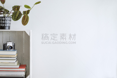 留白,相机,植物,书,室内,母球,美,边框,水平画幅,无人