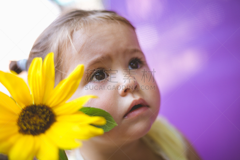 曲奇,葵花形海星,sunflower pollen,18到23个月,仅一名女婴,仅婴儿,面无表情,夏天,人的眼睛,人的脸部