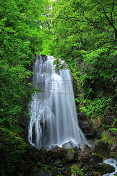 瀑布,夏天,自然,垂直画幅,水,北盐原,福岛里,无人,日本,福岛县