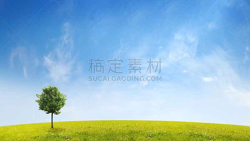 田地,绿色,风景,合成图像,天空,水平画幅,云,无人,绘画插图,符号