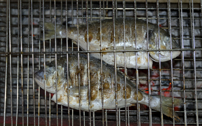 格子烤肉,水平画幅,膳食,海产,动物身体部位,海洋,烤串,烤的,2015年,晚餐