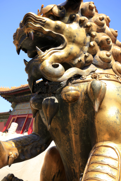 北京,铜狮子,颐和园,胡青,雌狮,故宫,禁止的,铜,宫殿,纪念碑