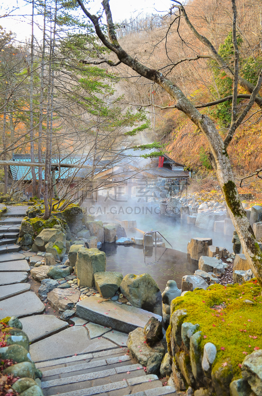 户外,石材,小路,秋天,温泉,垂直画幅,里山,山,苔藓,夏天