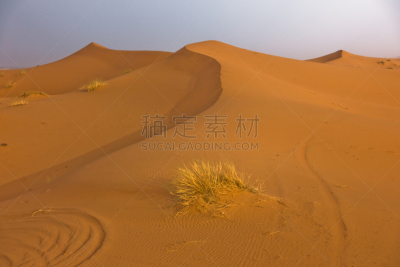 早晨,沙丘,摩洛哥,撒哈拉沙漠,erg chebbi dunes,天空,水平画幅,山,沙子,莫鲁加