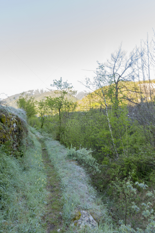 托拉,地形,在之间,城镇,ordesa national park,韦斯卡,阿拉贡,宝丽丝山脉,垂直画幅,天空