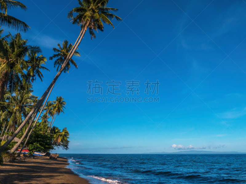 天空,留白,褐色,水平画幅,沙子,椰子树,海滩,蓝色,菲律宾,岛