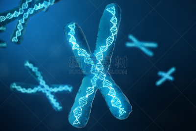三维图形,概念,生物学,健康保健,遗传研究,基因突变,绘画插图,染色体,脱氧核糖核酸,英文字母x