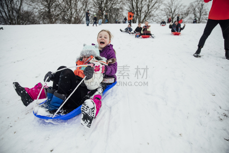 动物雪车,社区,雪,冬衣,英国,速降滑雪,儿童,仅儿童,低视角,快乐