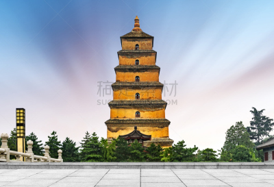 西安,宝塔,野外动物,雁属,水,天空,水平画幅,无人,传统,巨大的