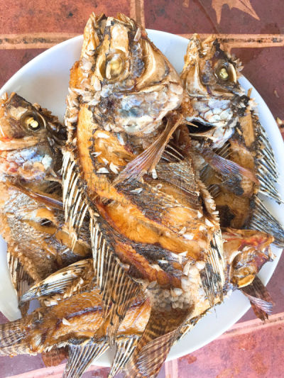 鱼类,罗非鱼,盘子,餐具,垂直画幅,格子烤肉,膳食,海产,锅,特写