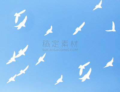 背景,天空,蓝色,斑鸠,图像技术,自然,哈萨克斯坦,白色背景,野生动物,云