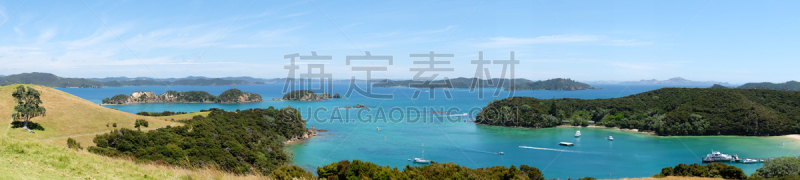 乌鲁普卡普卡岛,全景,新西兰,月桂树,在上面,固定的,摩托艇,渡轮,自然,水平画幅