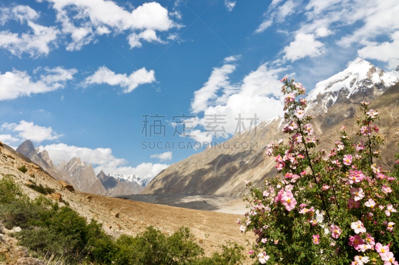 喀喇昆仑山,植物群,巴基斯坦北部,褐色,水平画幅,无人,喜马拉雅山脉,巨大的,偏远的,斯卡都