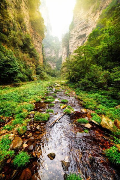 风景,水晶,沟壑,自然美,河流,深的,水,在底端,垂直画幅,美