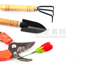 剪刀,园艺器具,枝,白色背景,过时的,水平画幅,尖利,背景分离,金属,钢铁
