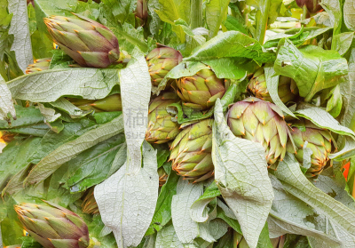 清新,蔬菜,市场,朝鲜蓟,水平画幅,素食,无人,传统,生食,户外